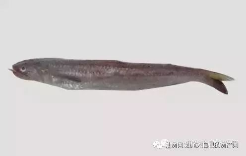 平时补点锌硒的坏处