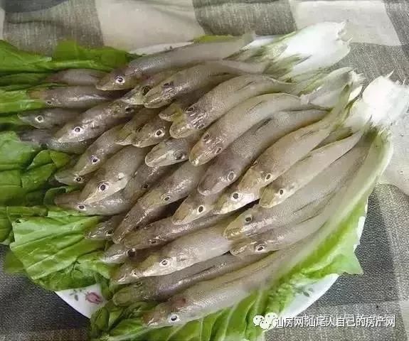 平时补点锌硒的坏处