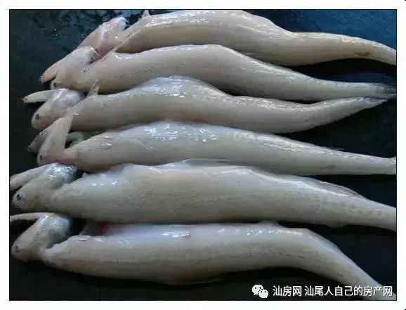 平时补点锌硒的坏处