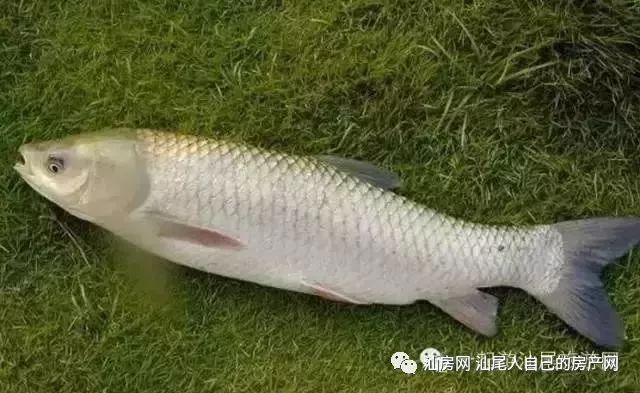 平时补点锌硒的坏处