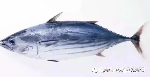 平时补点锌硒的坏处