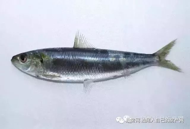 平时补点锌硒的坏处