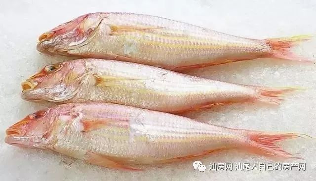 平时补点锌硒的坏处
