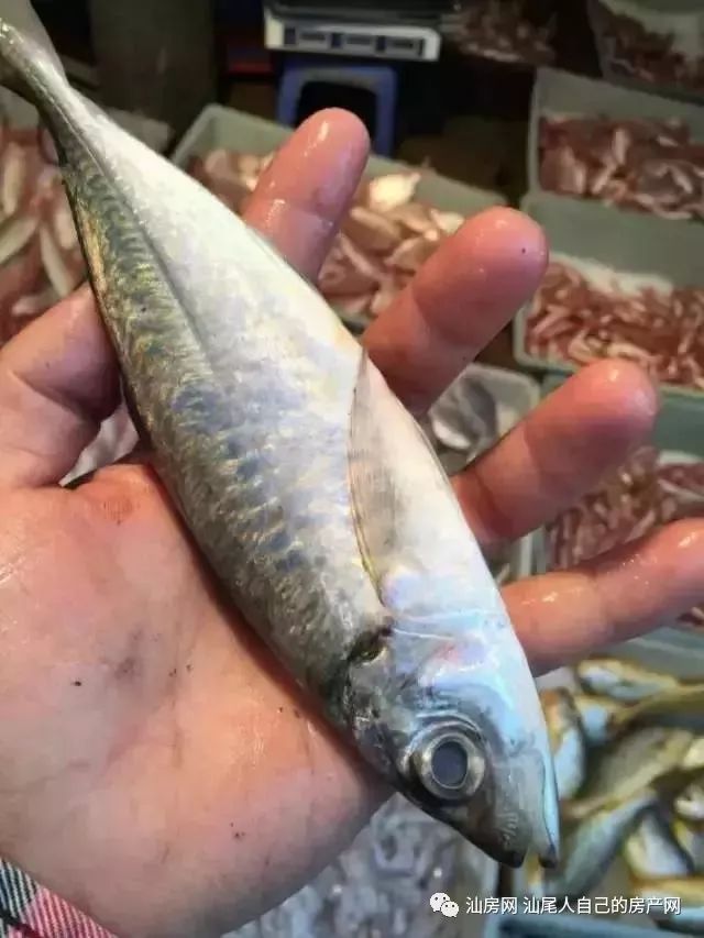 平时补点锌硒的坏处
