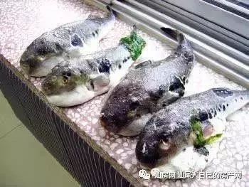 平时补点锌硒的坏处