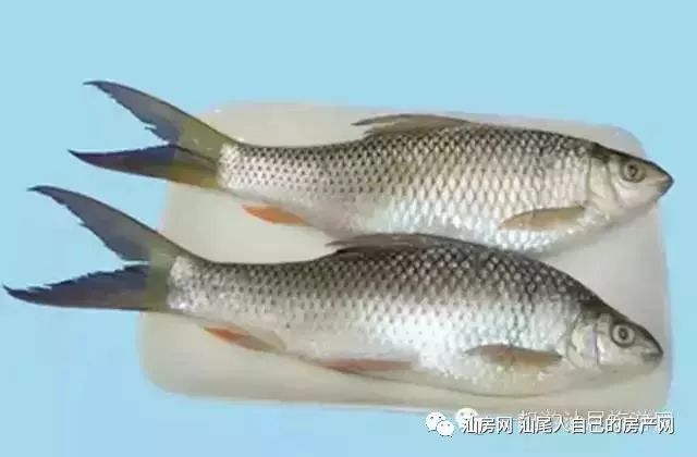 平时补点锌硒的坏处