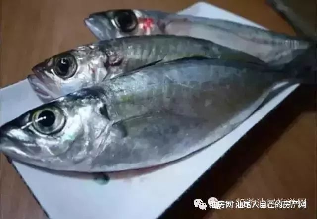 平时补点锌硒的坏处