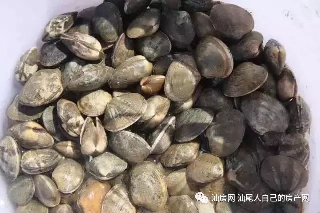 平时补点锌硒的坏处