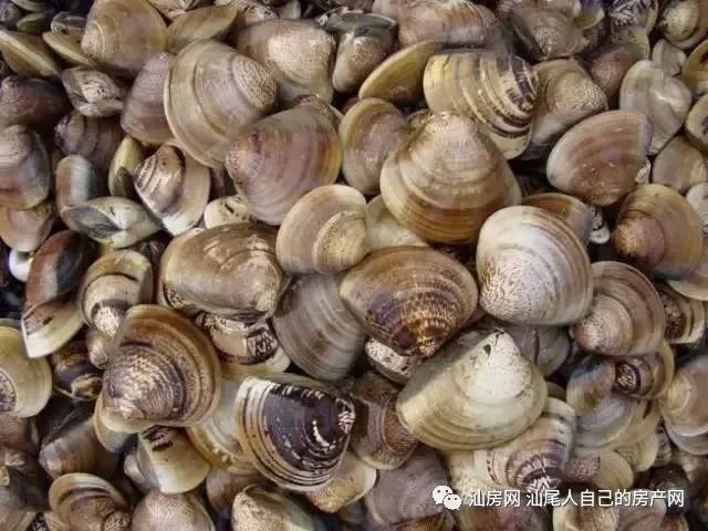 平时补点锌硒的坏处