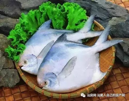 平时补点锌硒的坏处