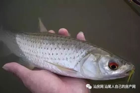 平时补点锌硒的坏处