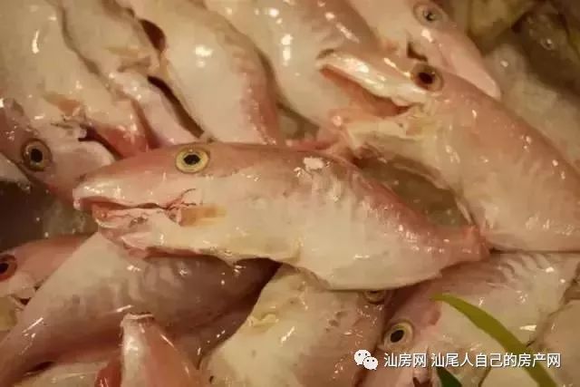 平时补点锌硒的坏处