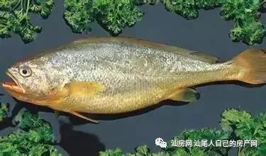 平时补点锌硒的坏处