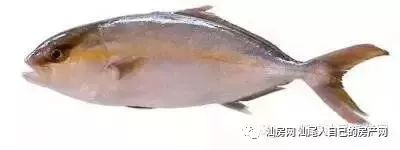 平时补点锌硒的坏处