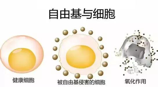 抽烟的人能不能补硒