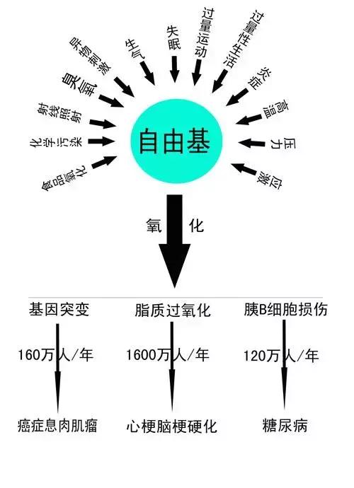 抽烟的人能不能补硒