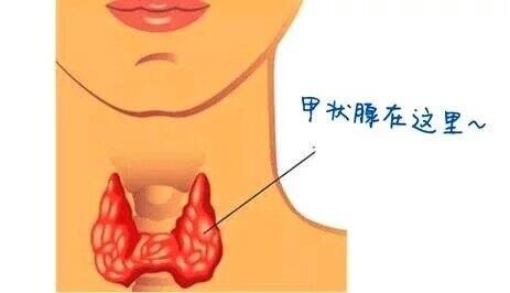 甲亢突眼补硒多少量