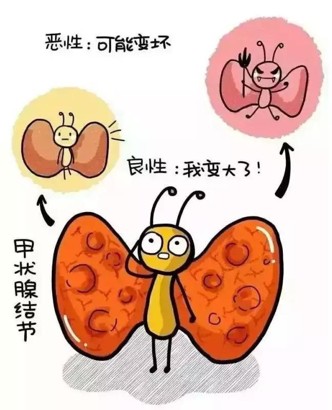 甲亢突眼补硒多少量