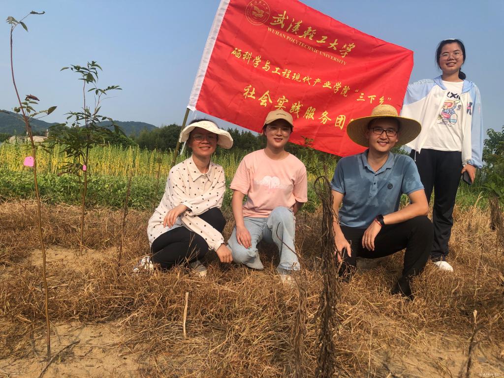 怎样用桑葚科学补硒