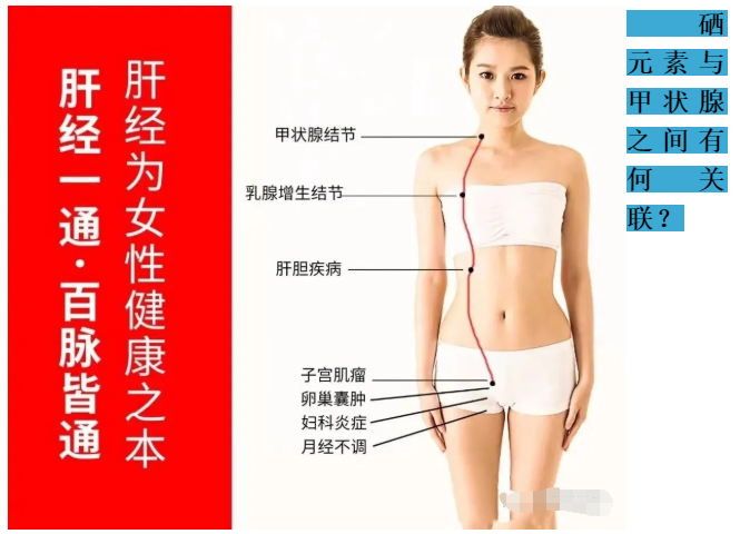 甲状腺癌术后能补硒