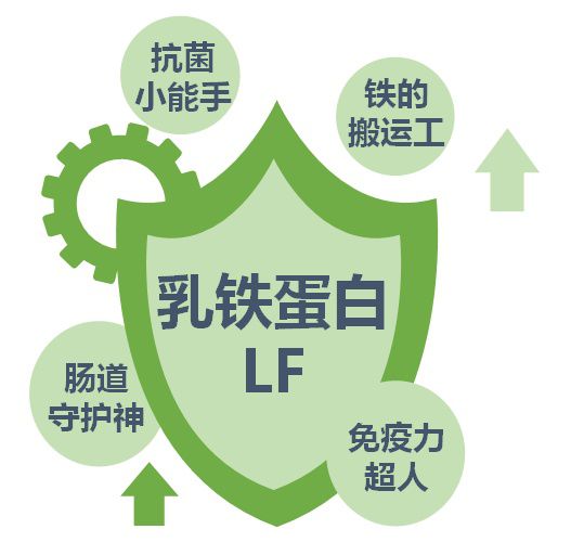 贫血 补铁