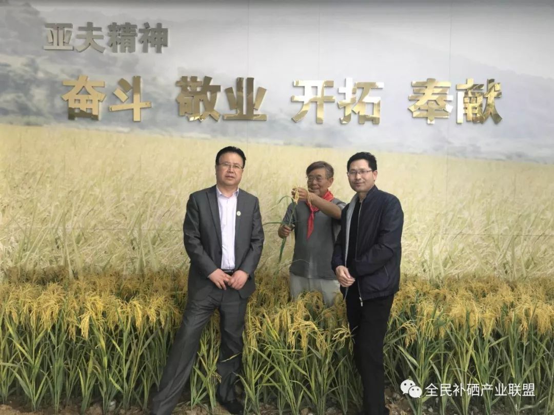 江苏每天补硒多少钱