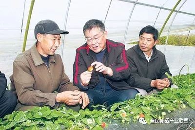 江苏每天补硒多少钱