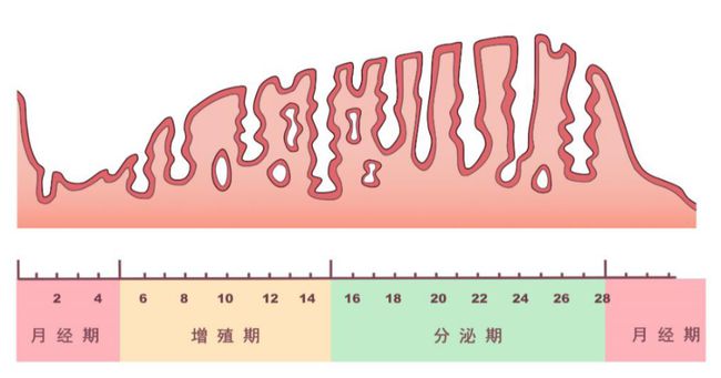宝宝吃什么补锌