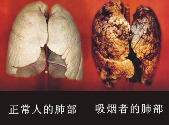 补硒对吸烟有作用吗