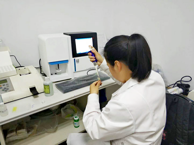 小孩微量元素检查多少钱