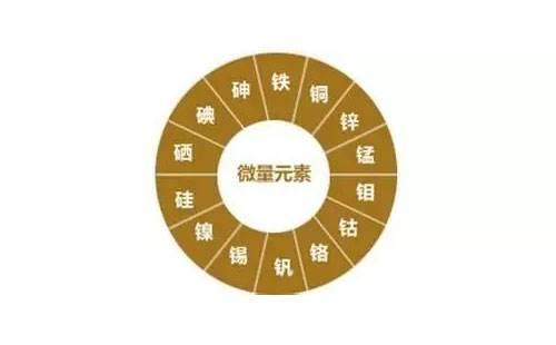 微量元素6项是查什么 宝宝有必要查吗
