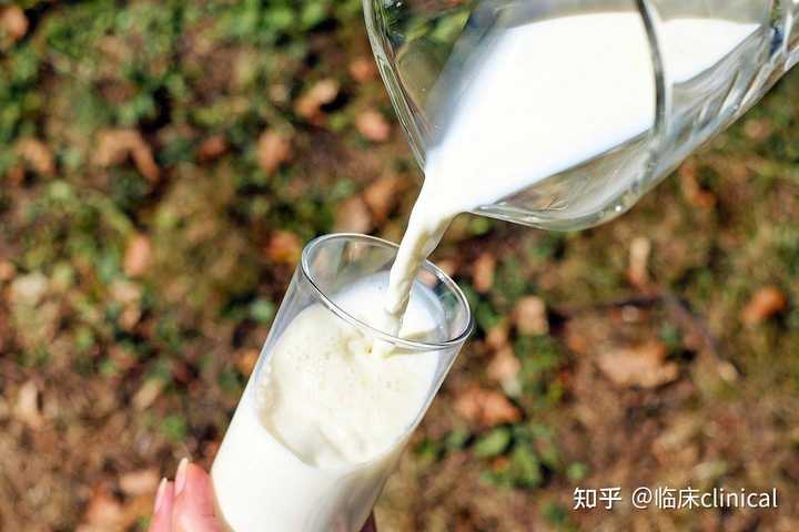 什么奶补钙效果最好