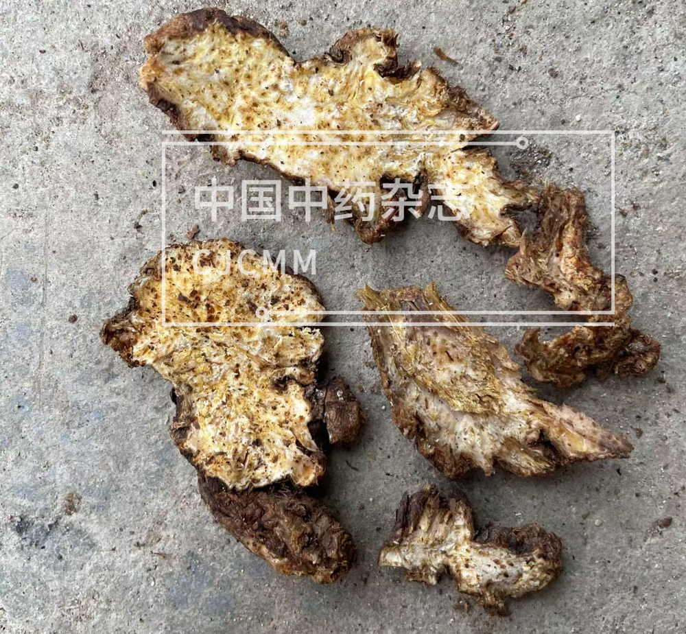 胃不好的人能补硒吗