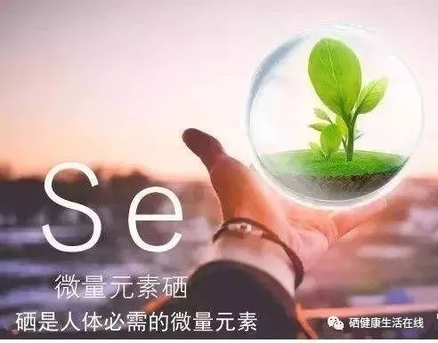 六十岁的人用补硒吗