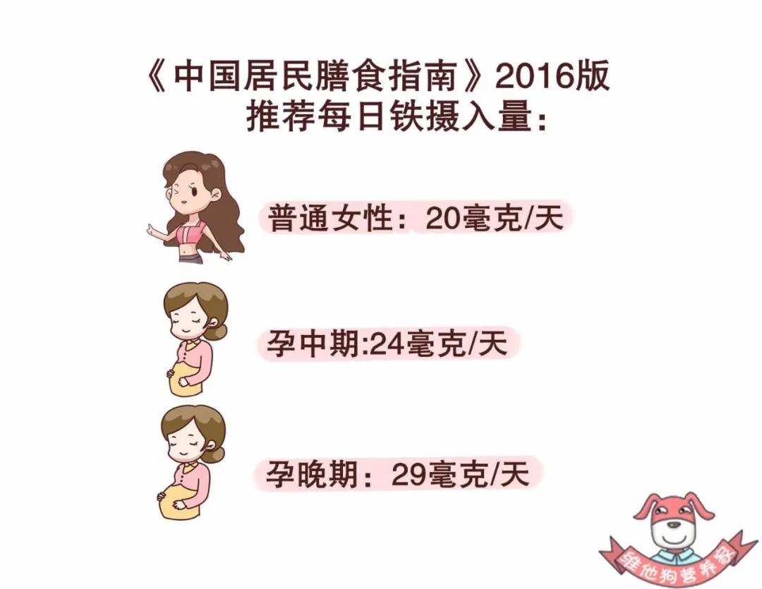 补铁补血最快的食物