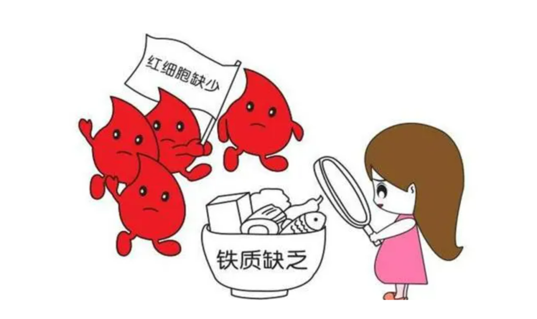 用铁锅炒菜能补铁吗