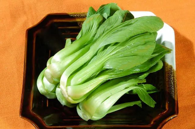 补钙第一名
