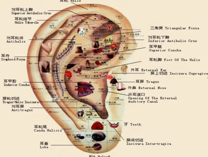 补硒对睡眠有改善没