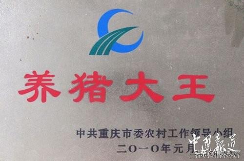 孕妇每天补硒多少钱