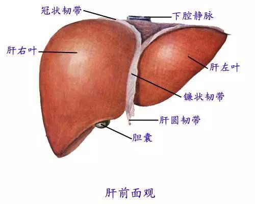 胰腺癌晚期黄疸补硒