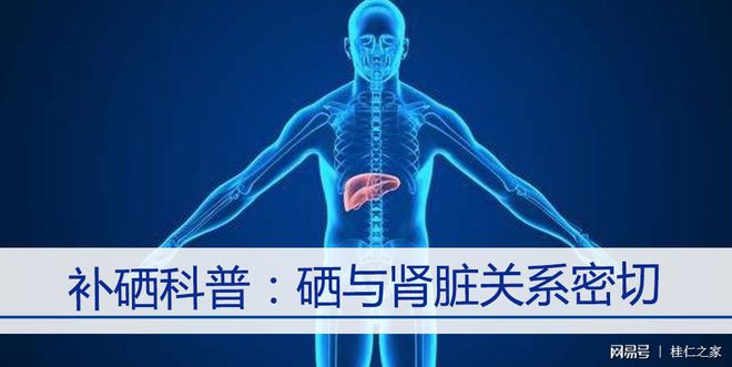 肾病可以喝补硒的吗