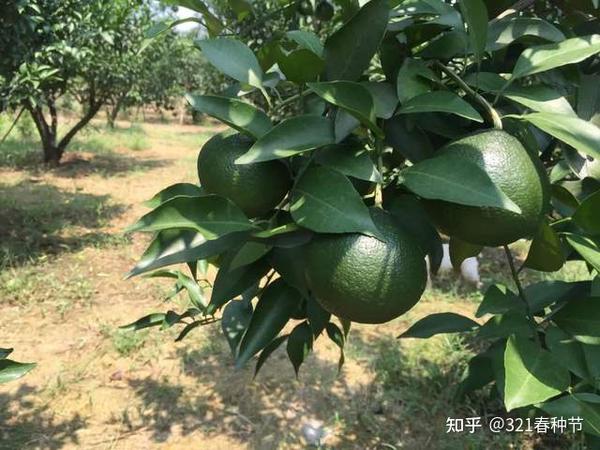 常见微量元素