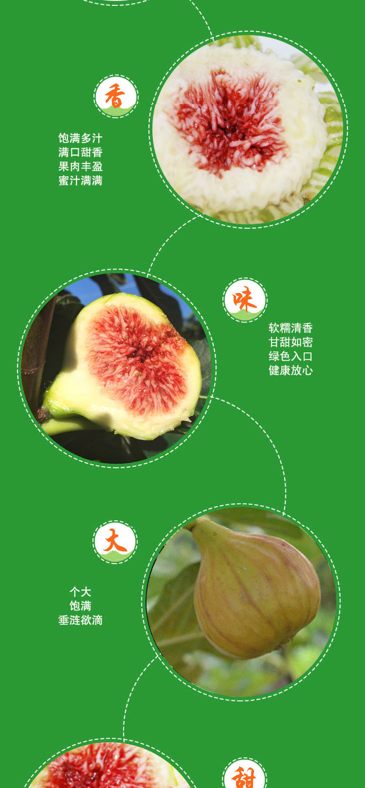 无花果怎么补硒的好