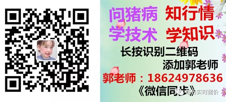 补硒最好的药是什么