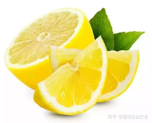 胃溃疡患者能补硒吗