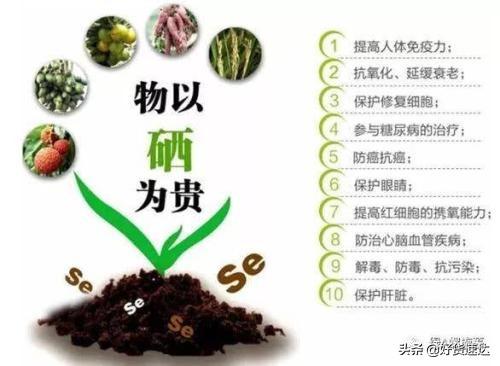 补硒多少可以防辐射