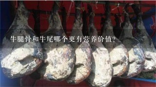 牛腿骨和牛尾哪个更有营养价值？