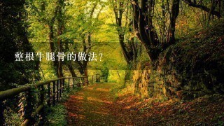 整根牛腿骨的做法？