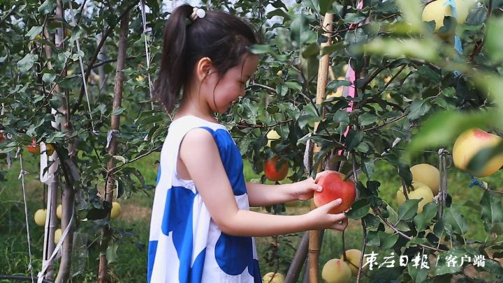 果树补硒元素可以吗