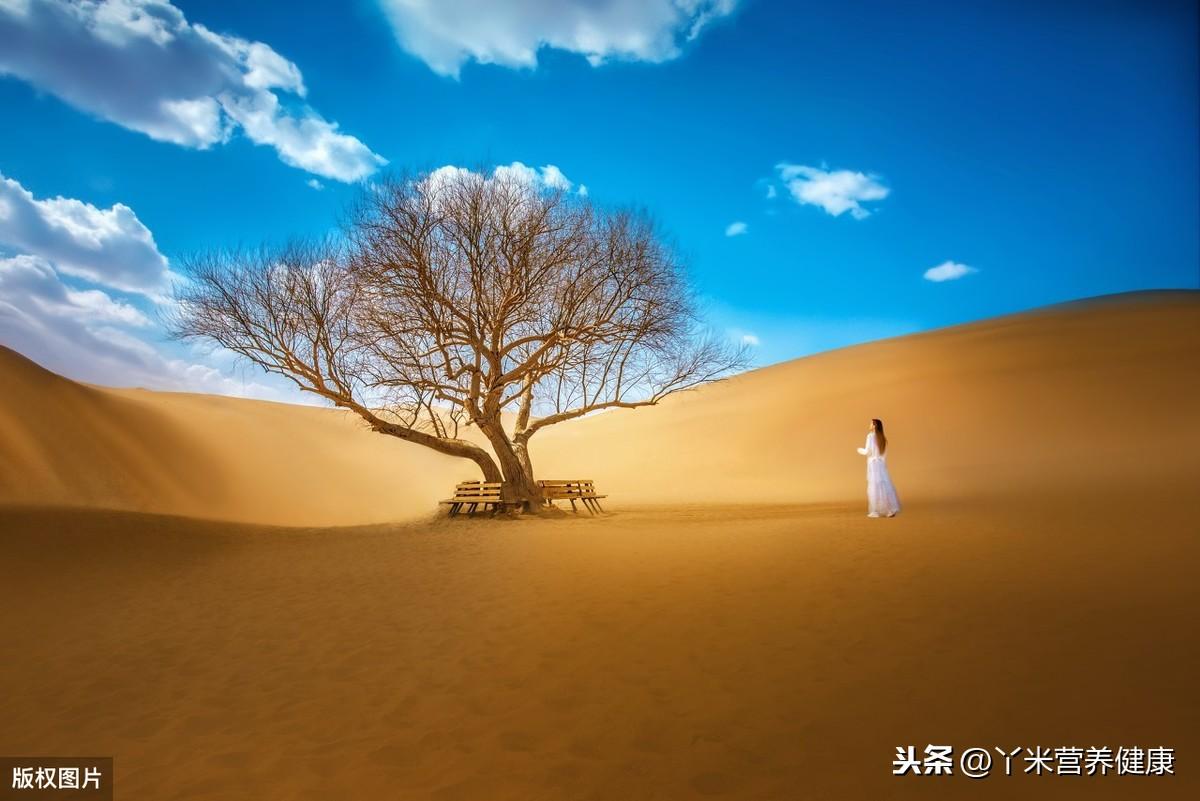 启东肝癌补硒于树玉